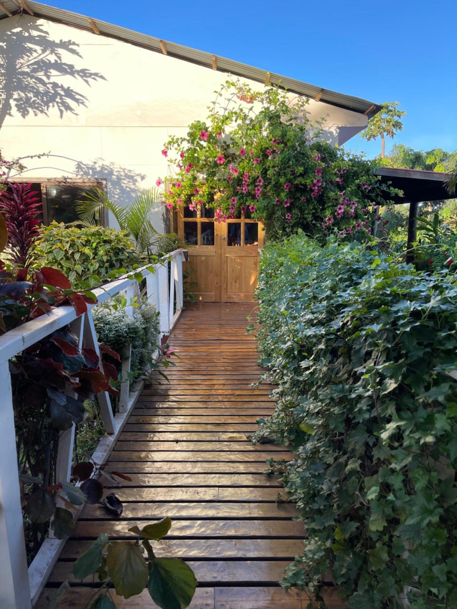 Teanehi Bed & Breakfast Hanga Roa Extérieur photo